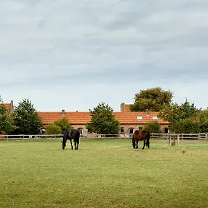 Vakantiehuis Het Zwaluwnest 